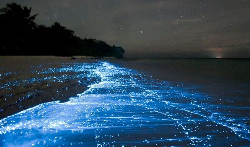 Glowing plankton in Palawan, Philippines