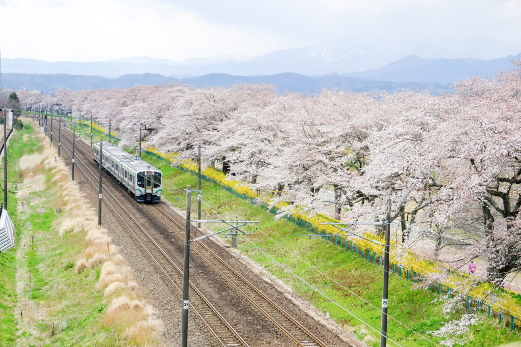 Проездной на поезда в Японии для туриста