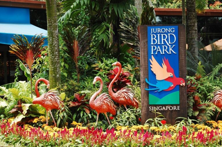 Парк птиц Jurong в Сингапуре