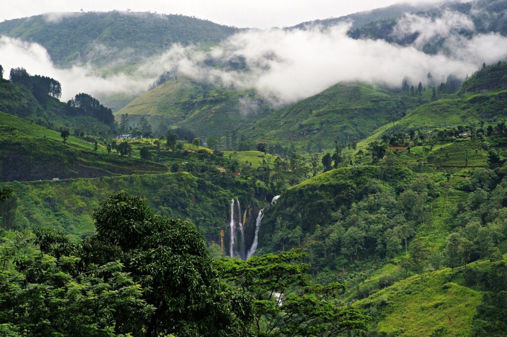 Tea plantations of Nuwara Eliya (Sri Lanka)