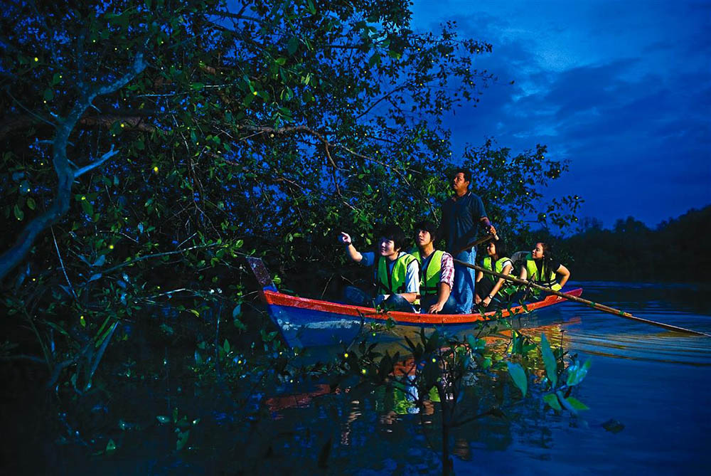 Тур на реку светлячков в Малайзии