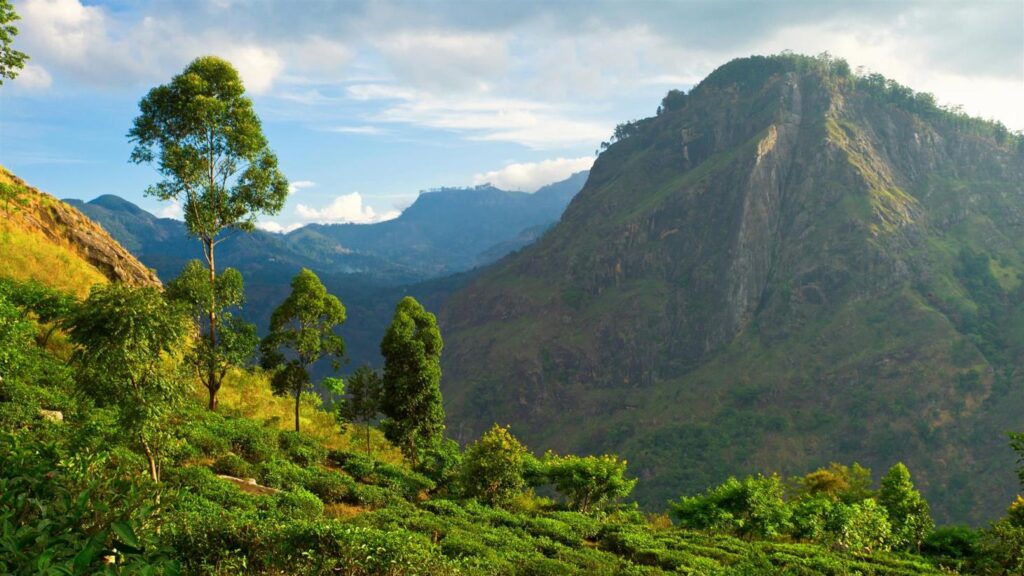 Mountains in Ella in Sri Lanka