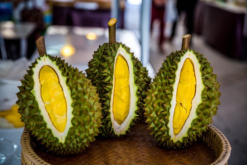 The famous Vietnamese fruit Durian