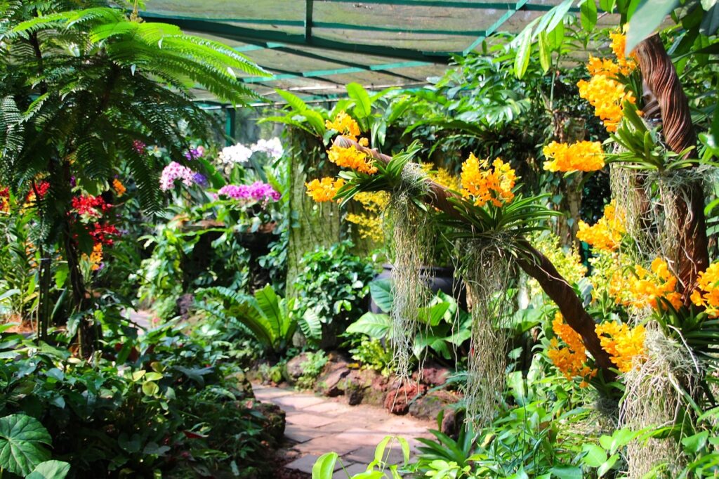 National Orchid Garden in Singapore