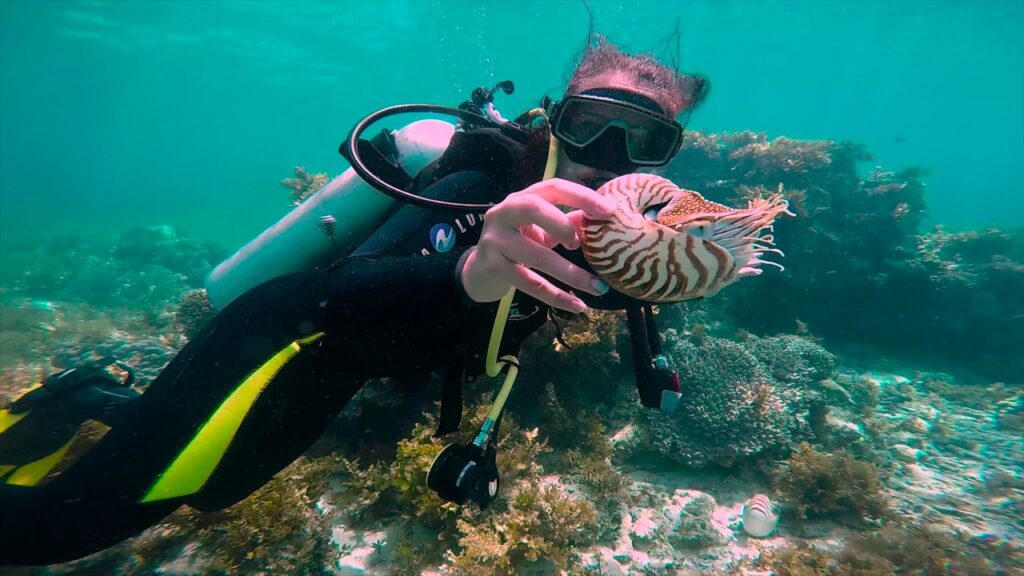 Diving in Panglao Island, Philippines