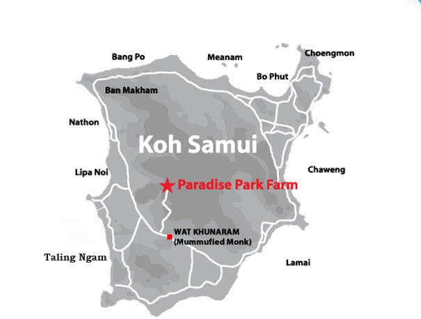 How to get to Paradise Park Koh Samui (map)