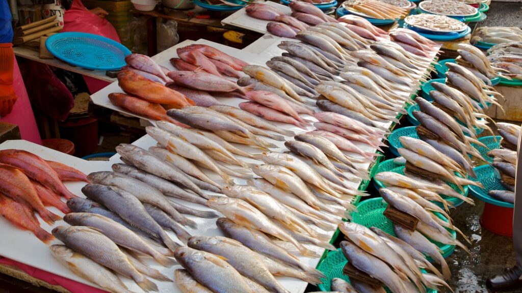 Рыбный рынок на Самуи для туриста