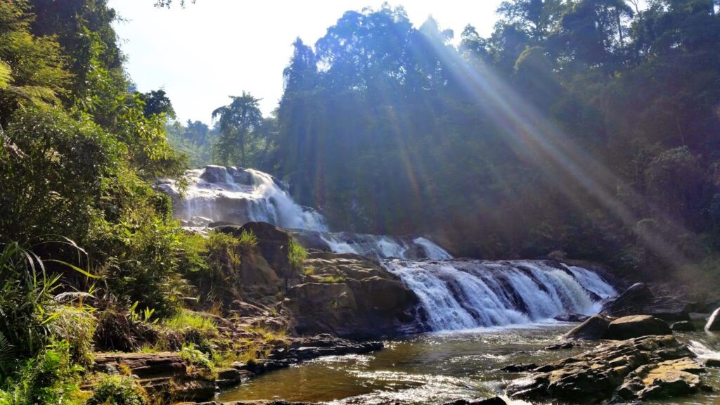 Sinharaja Rain Reserve (Sri Lanka)