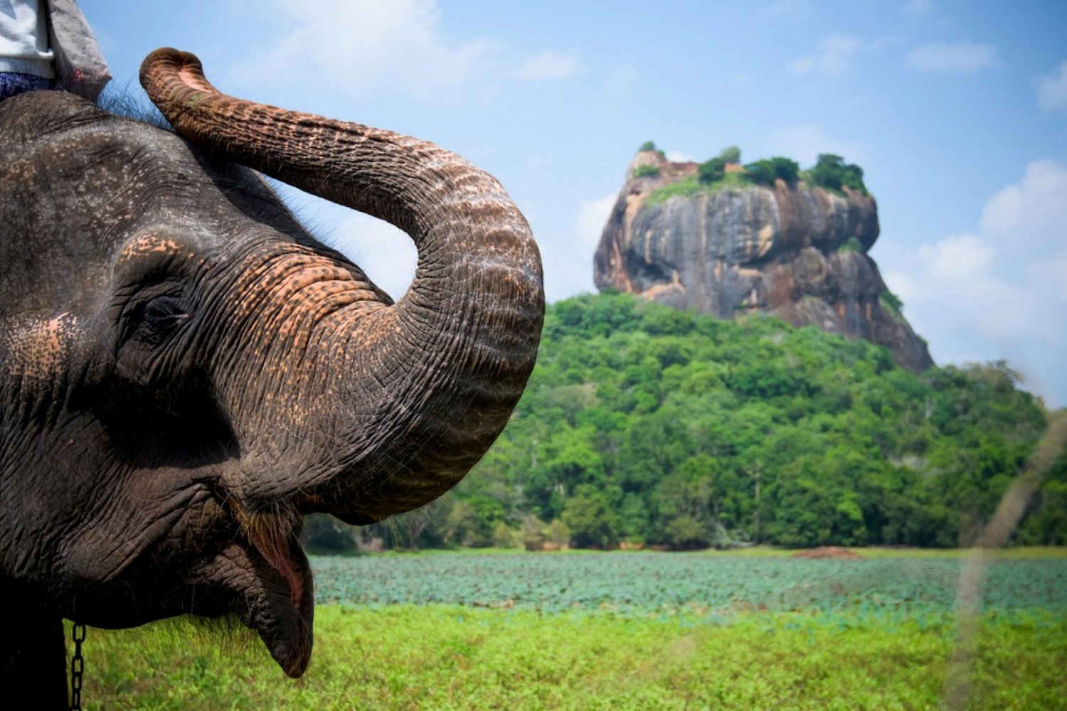 Features of Sri Lanka