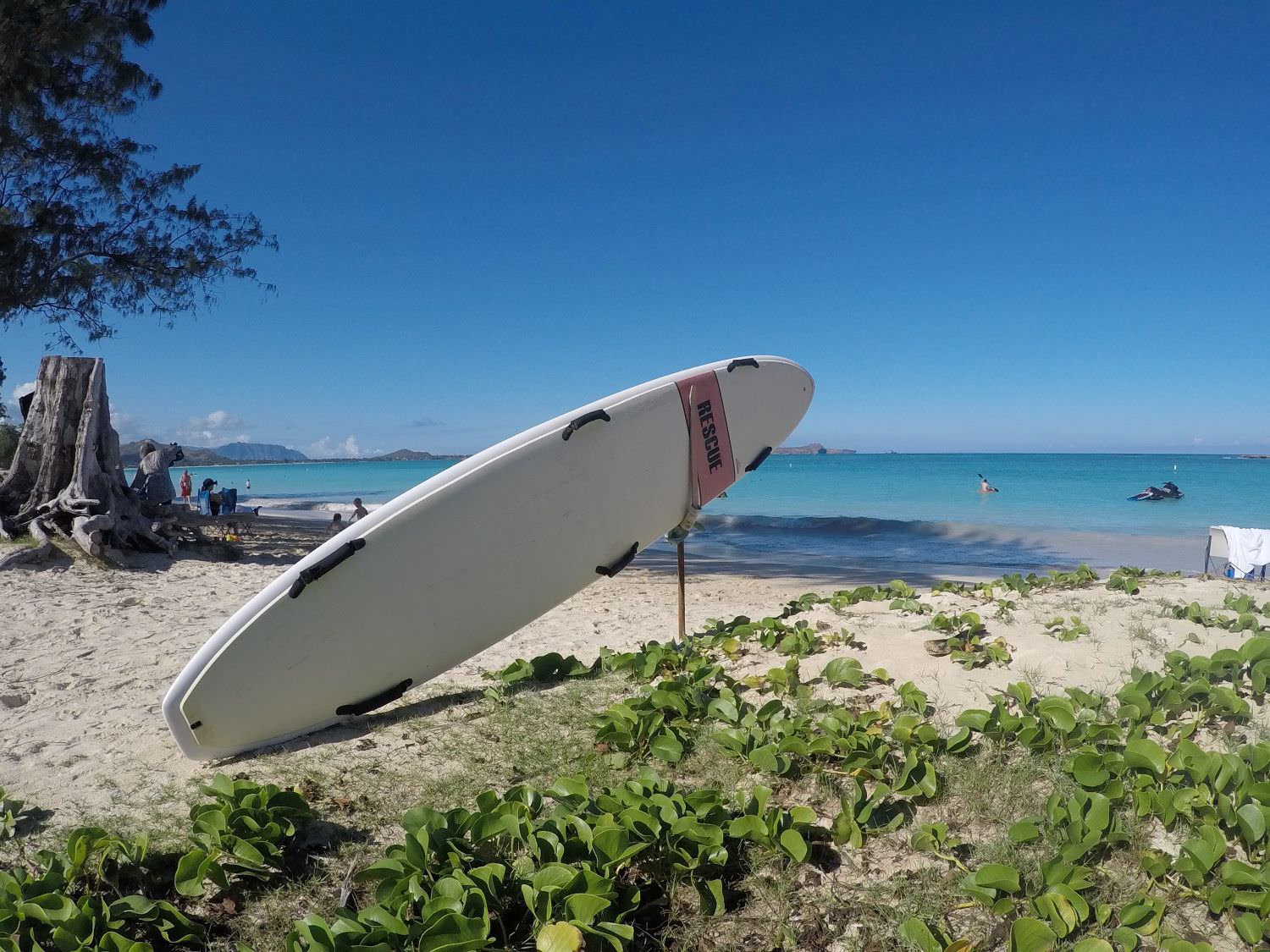 Surf Mauritius