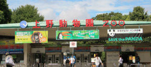 Зоопарк в Пекине
