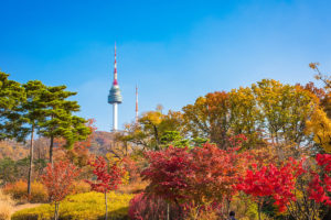 Башня Намсан в Сеуле