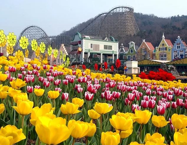 Everland - парк развлечений в Южной Корее