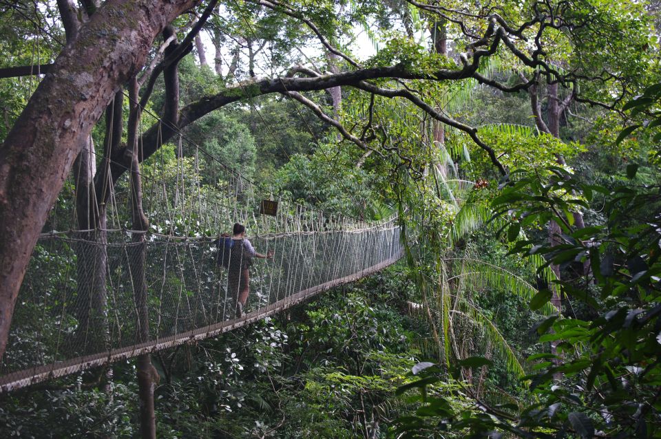 Visit Taman Negara National Park During Your Honeymoon in Kuala Lumpur