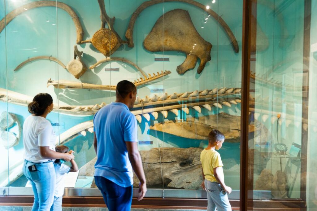 La Vanille Park, Fossil Museum