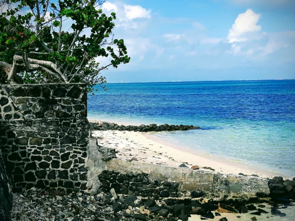 Pointe d'Esny Beach in Mauritius 