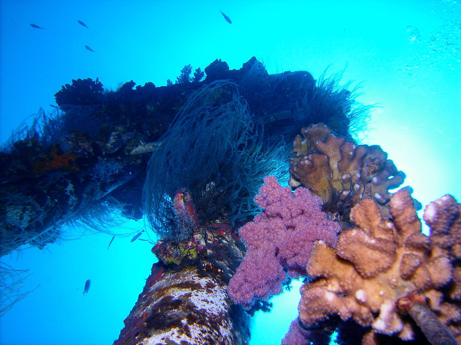 Mauritius scuba diving 