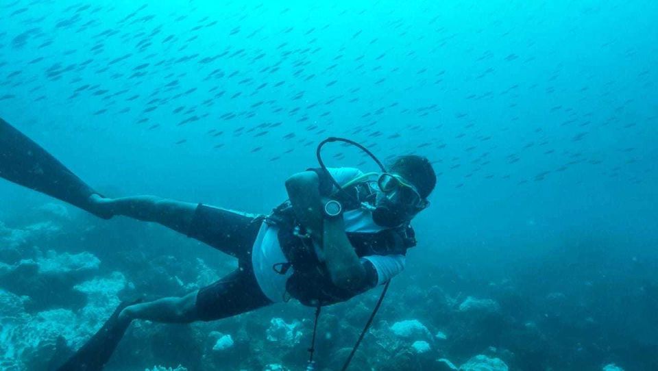 Dive sites in Mauritius island 