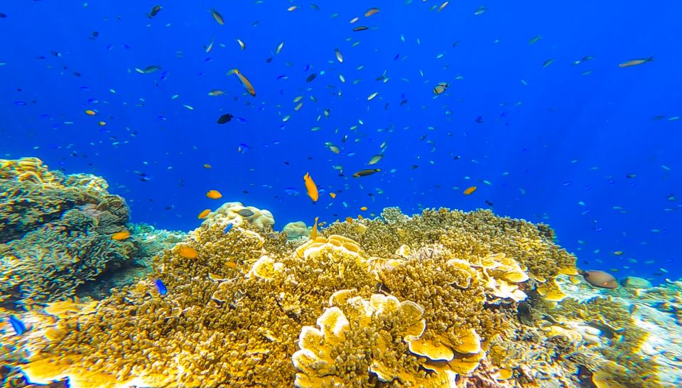 Sumilon Coral Reefs