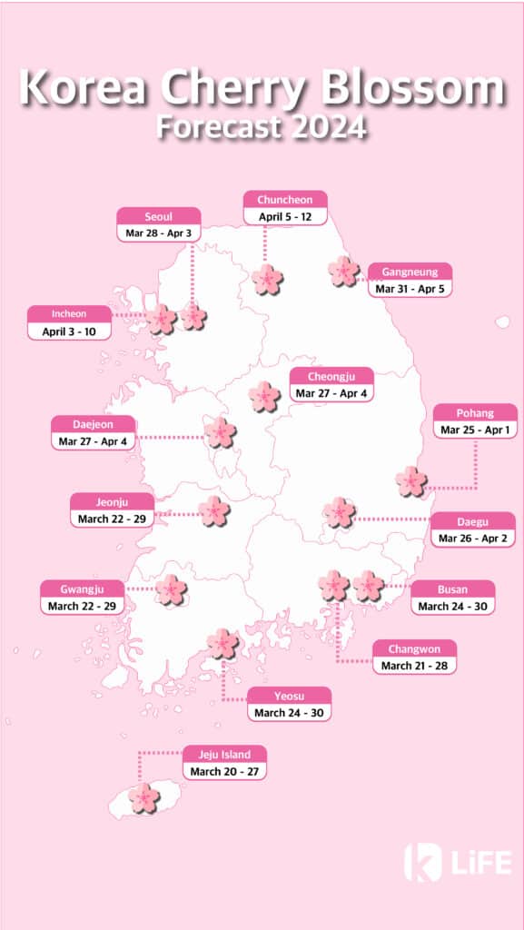 Cherry Blossom Forecast in South Korea