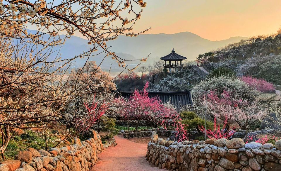 Places to See Cherry Blossom in Seoul