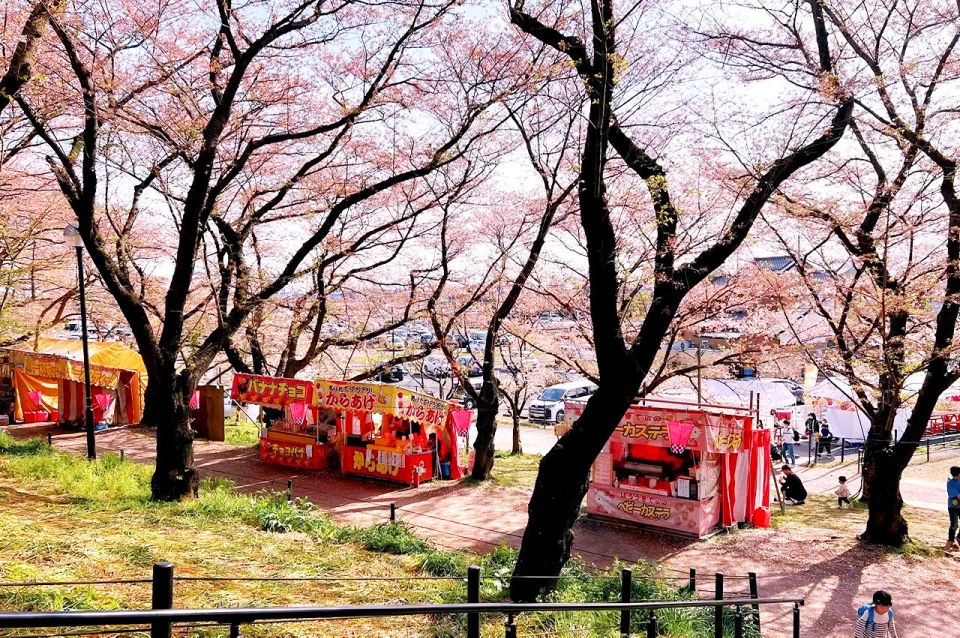 Cherry Blossom Spots in Tokyo