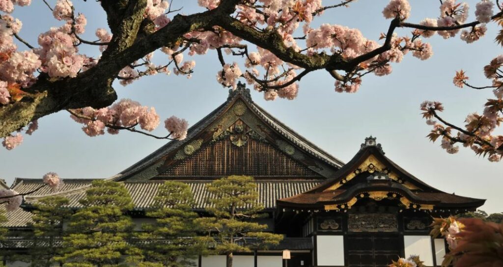 Where to See Sakura in Kyoto