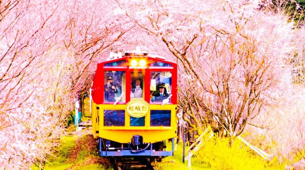 Cherry Blossom Season in Kyoto