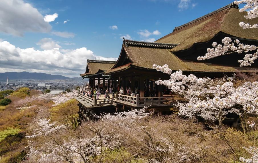 Best Spots to See Sakura in Kyoto