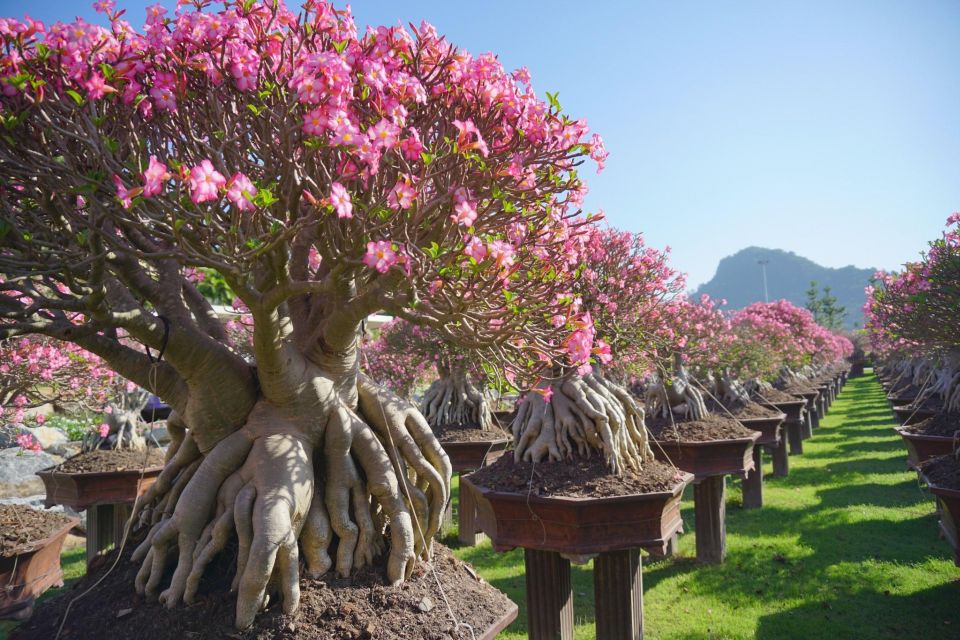 Nong Nooch Botanical Garden in Pattaya