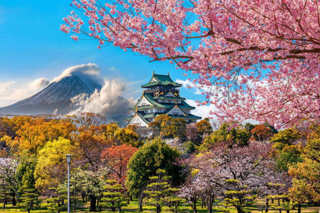 Best Spots to See Sakura in Osaka