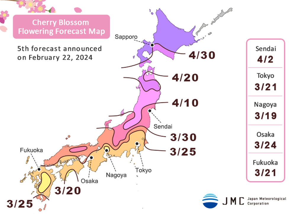 Карта цветения сакуры 2024