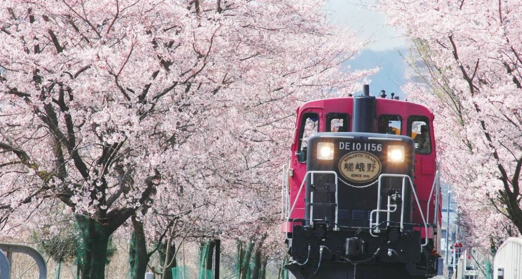 Best Places to Visit in Osaka for Sakura 
