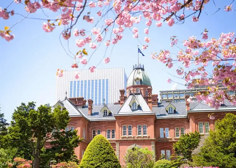 Places to See Cherry Blossom in Sapporo