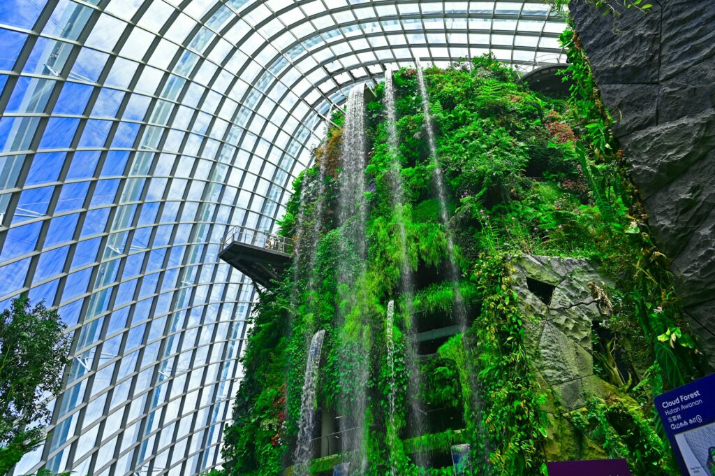 Футуристический парк Сады у Залива в Сингапуре