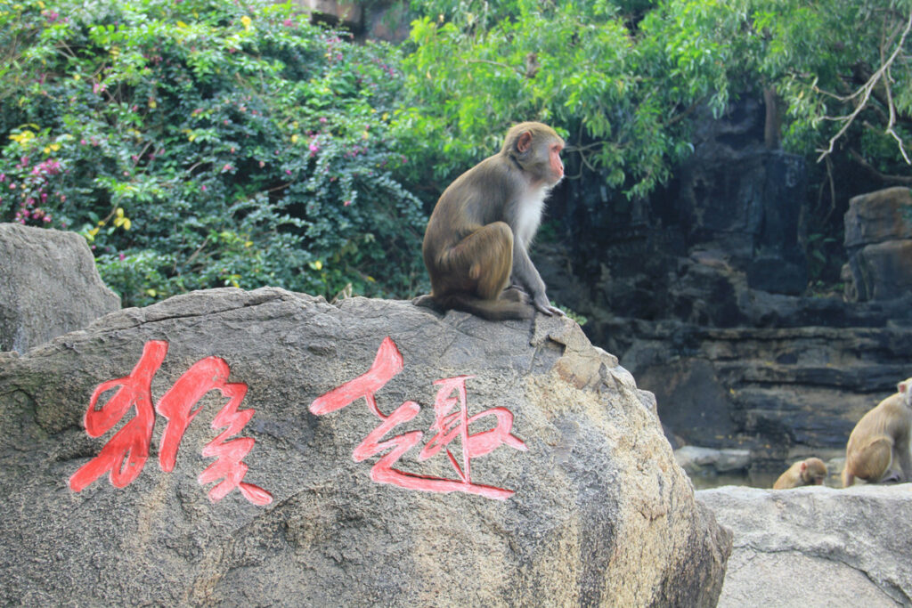 Остров обезьян, Хайнань, Китай