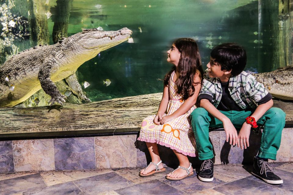 Крокодил в Дубайском Океанариуме